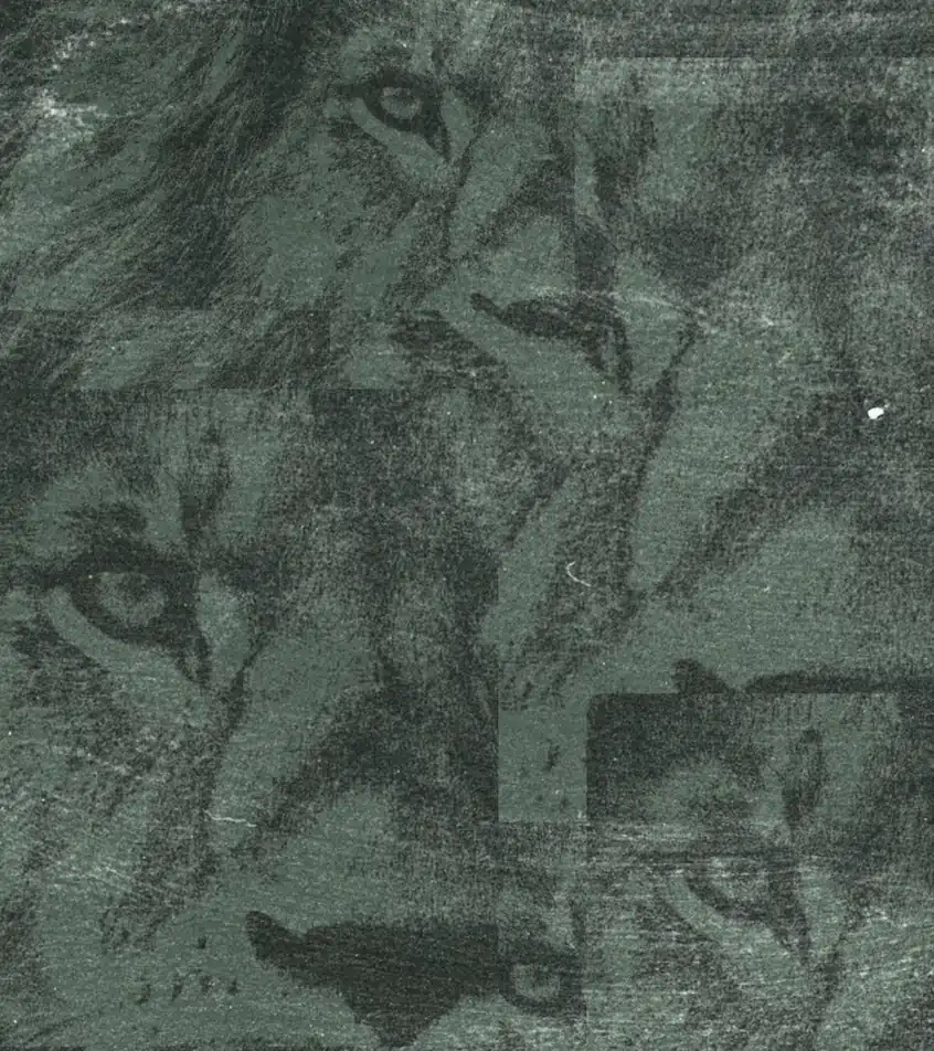 Web3 for Wildlife Conservation